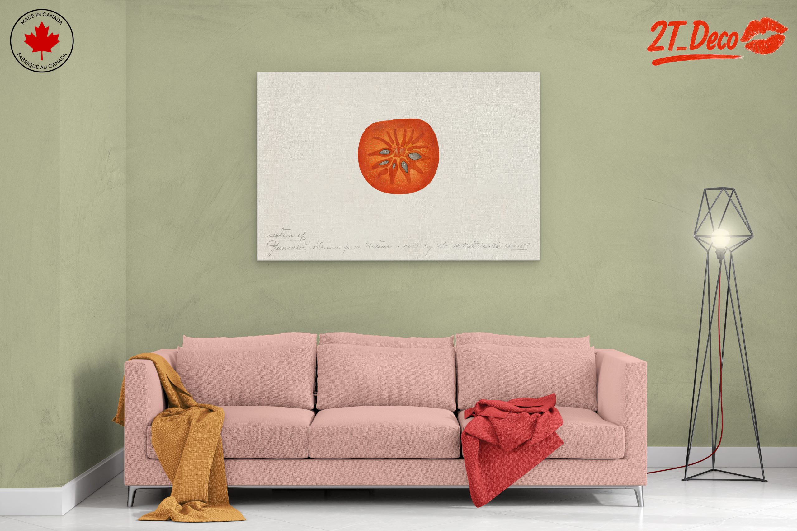 Abstract Artwork of a Tomato Slice - Image 2