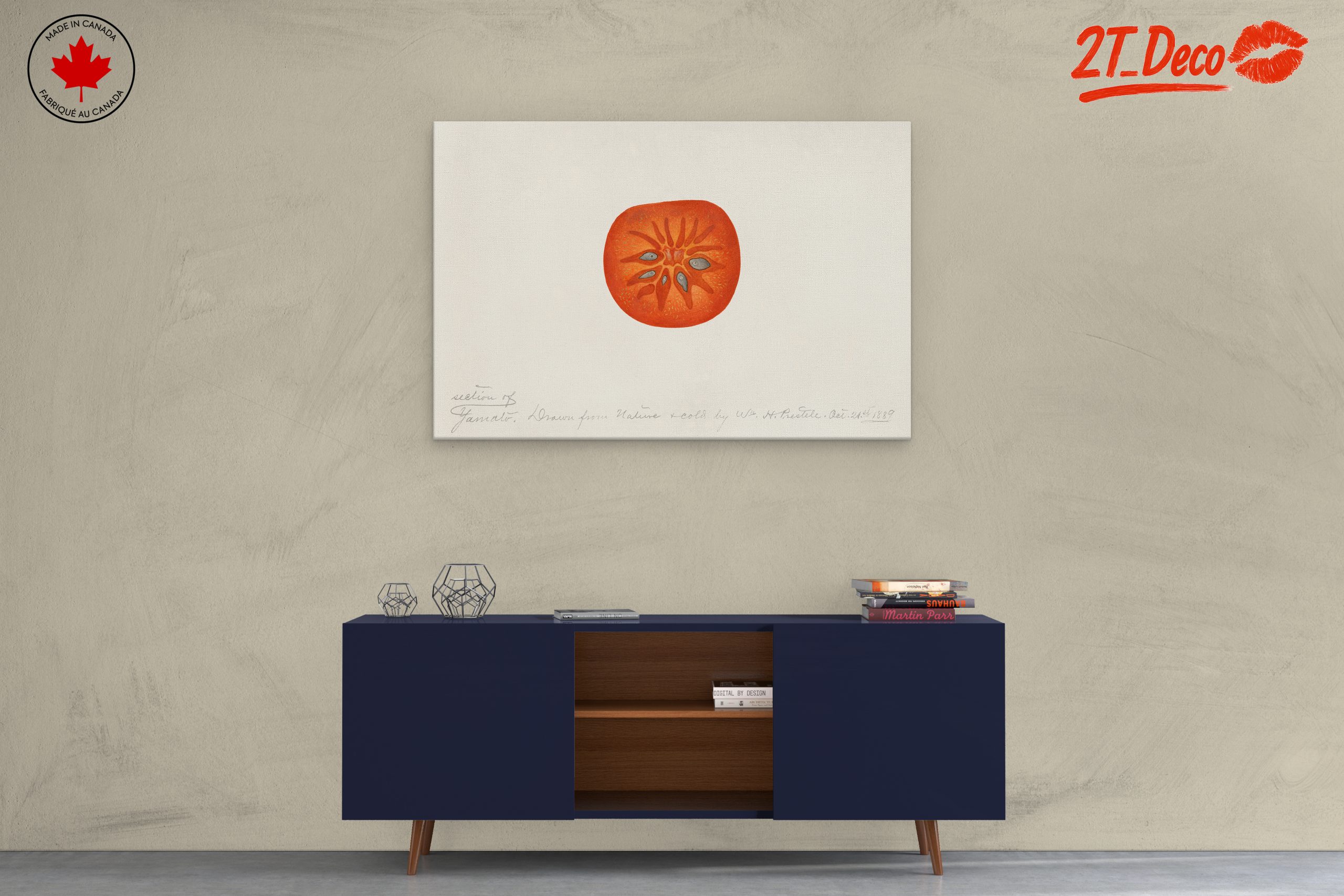 Abstract Artwork of a Tomato Slice - Image 3