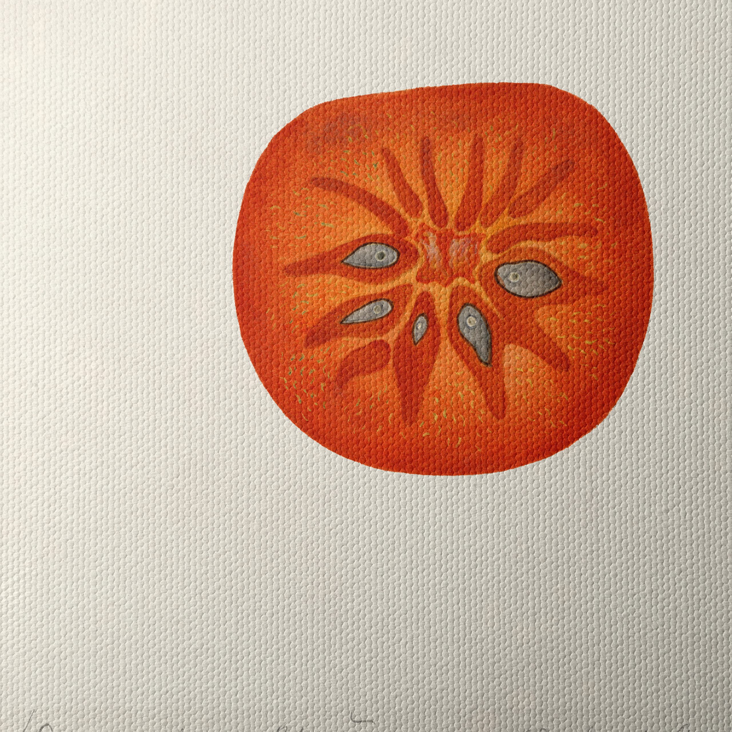 Abstract Artwork of a Tomato Slice - Image 4