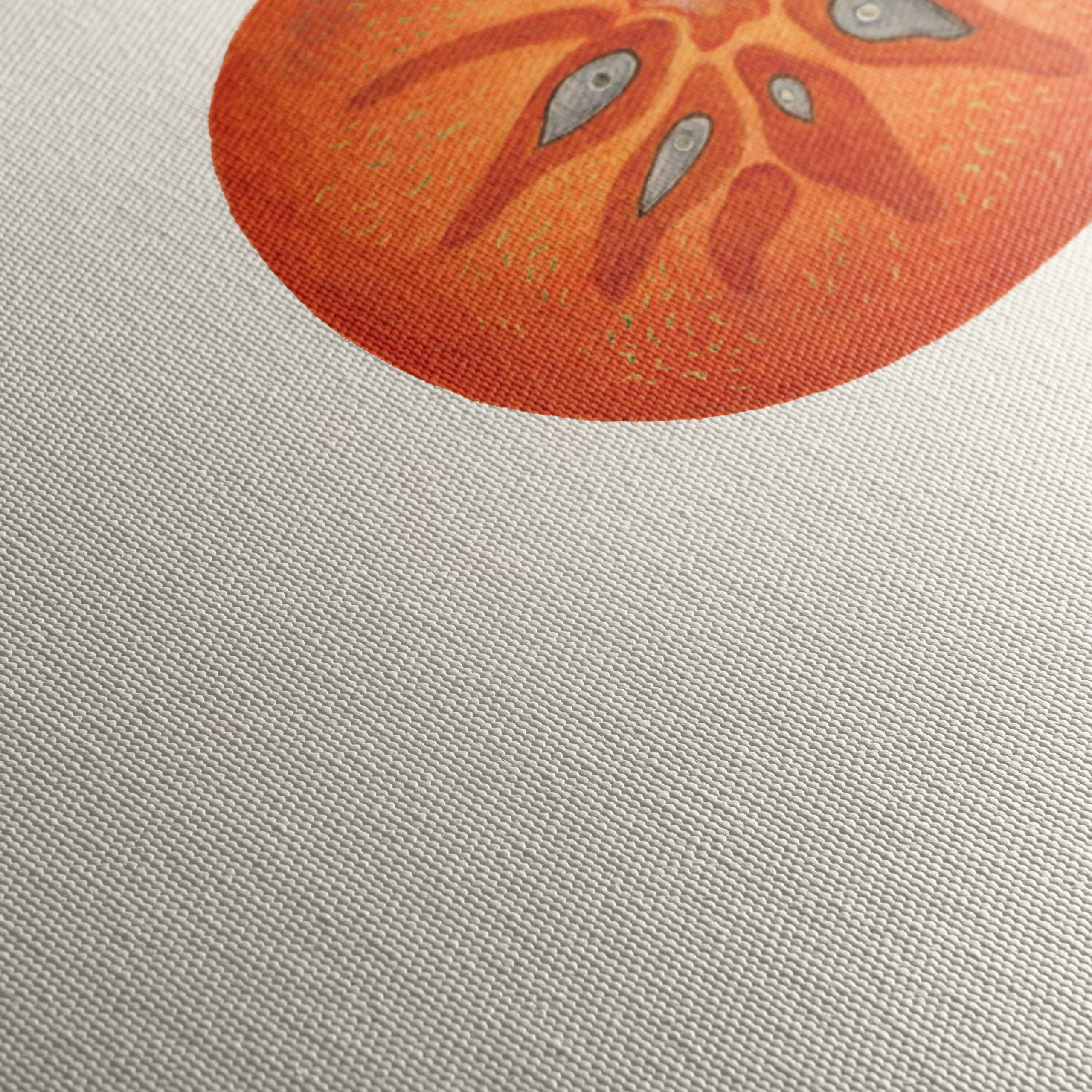 Abstract Artwork of a Tomato Slice - Image 5