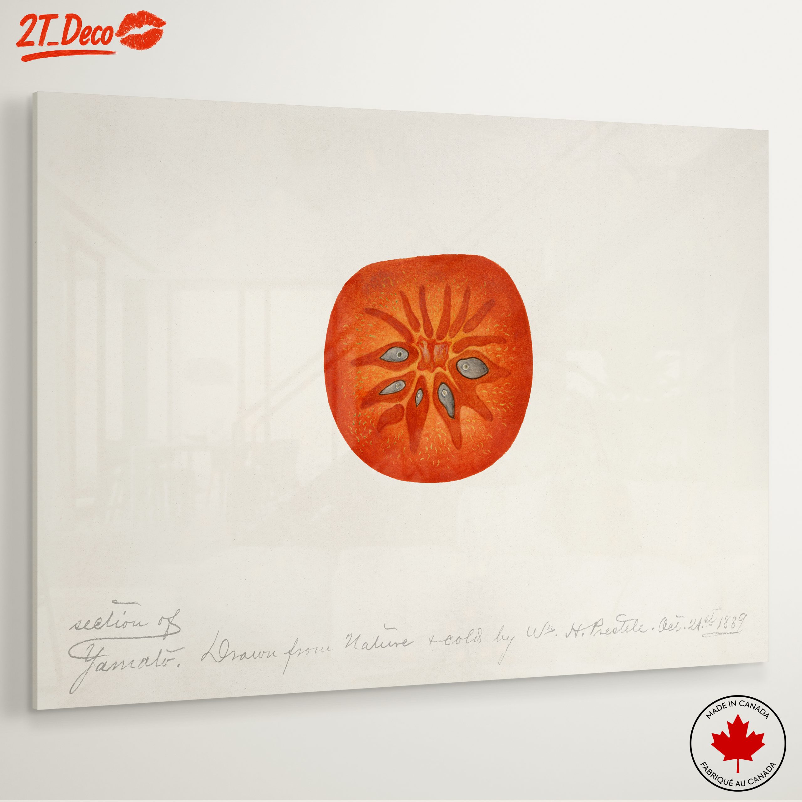 Abstract Artwork of a Tomato Slice - Image 6