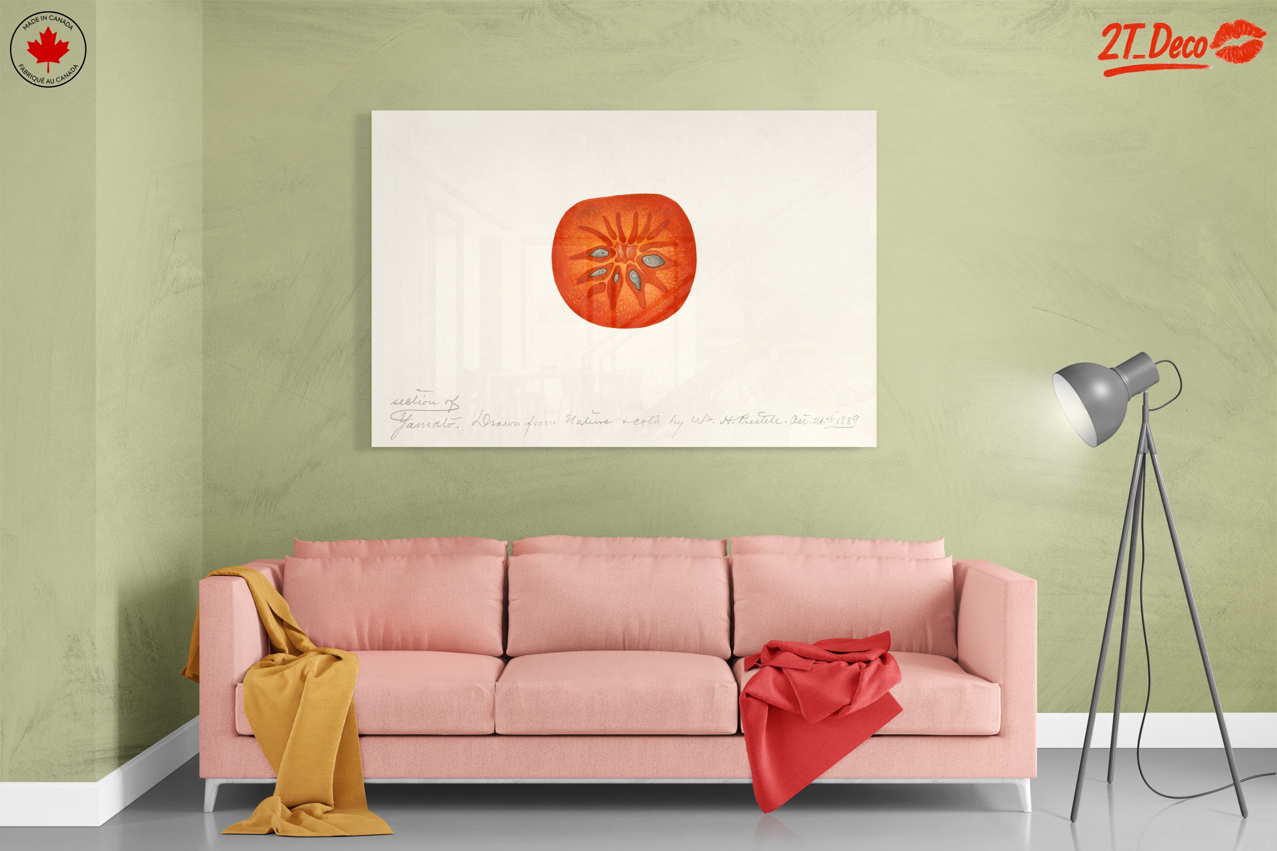 Abstract Artwork of a Tomato Slice - Image 7