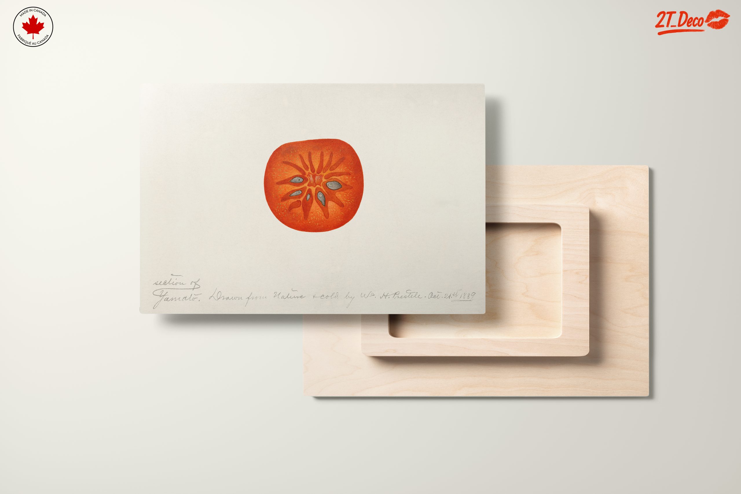 Abstract Artwork of a Tomato Slice - Image 11