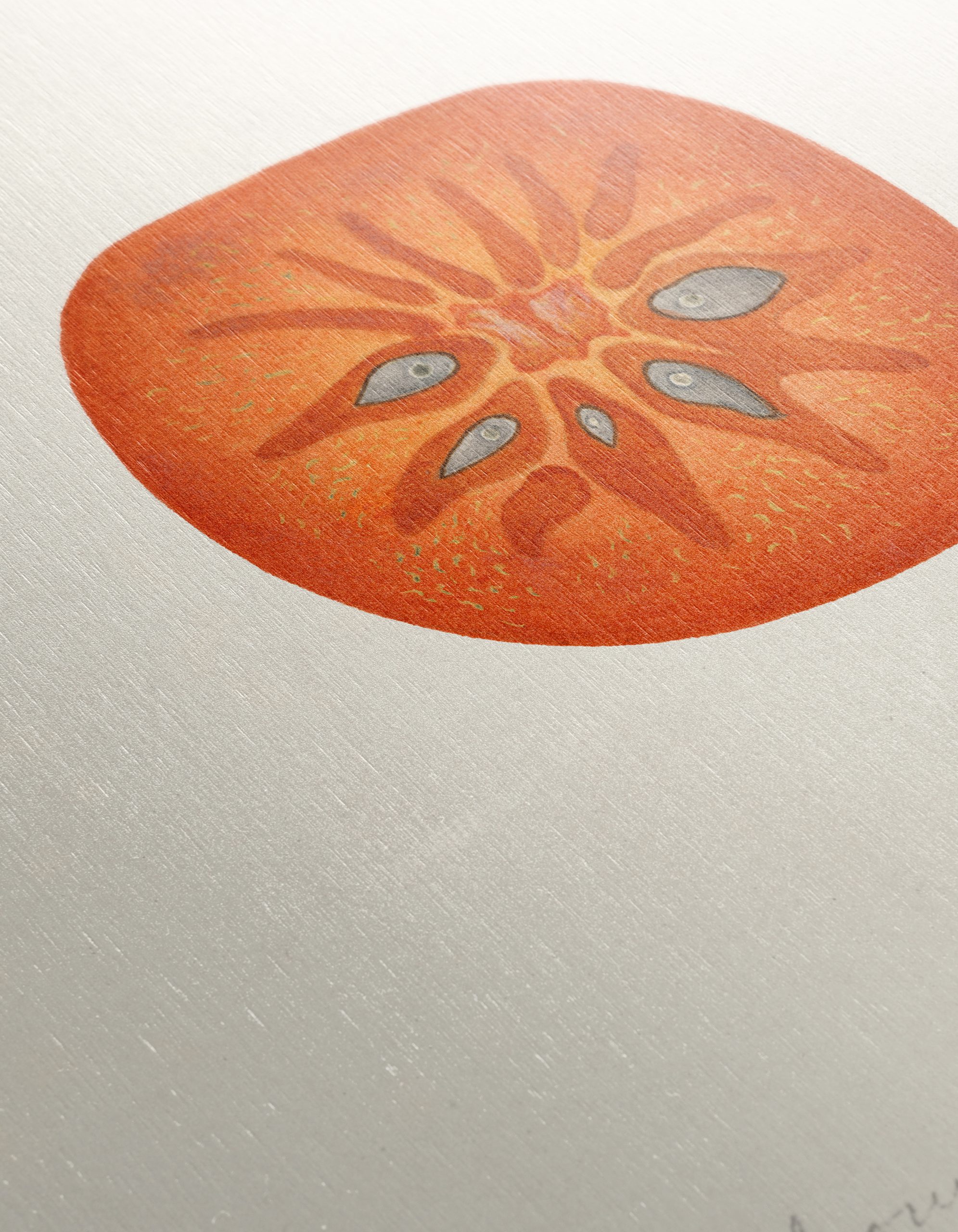Abstract Artwork of a Tomato Slice - Image 12