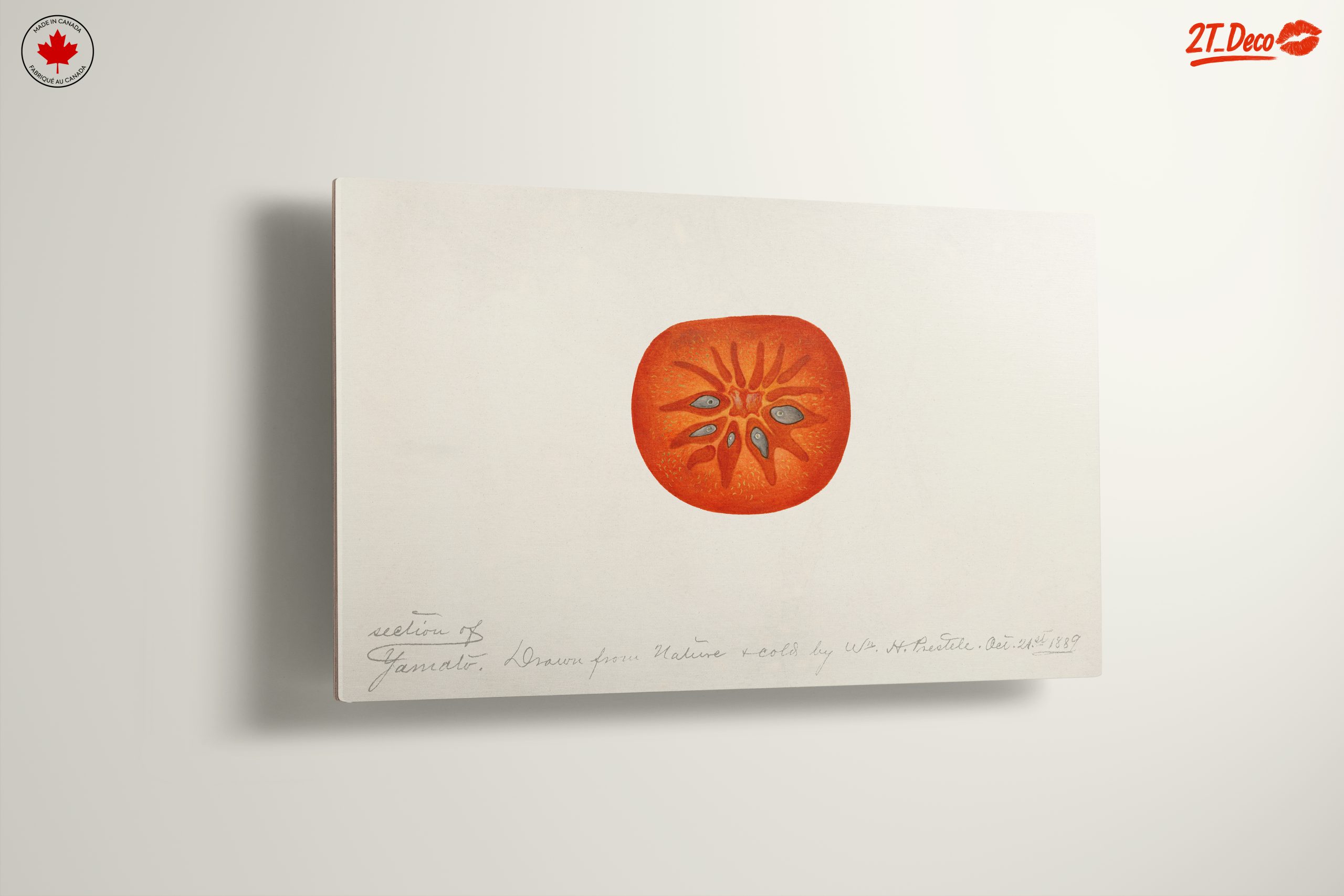 Abstract Artwork of a Tomato Slice - Image 13