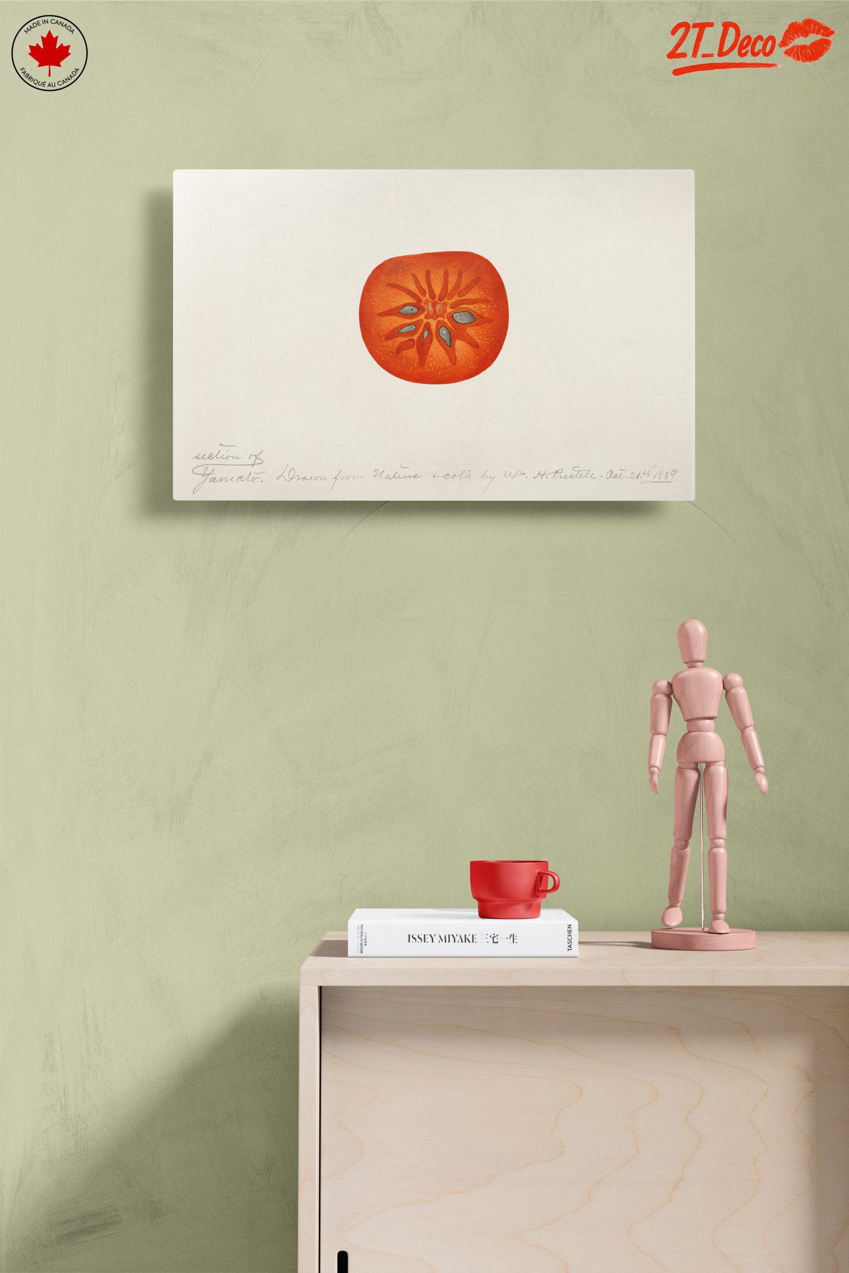 Abstract Artwork of a Tomato Slice - Image 14