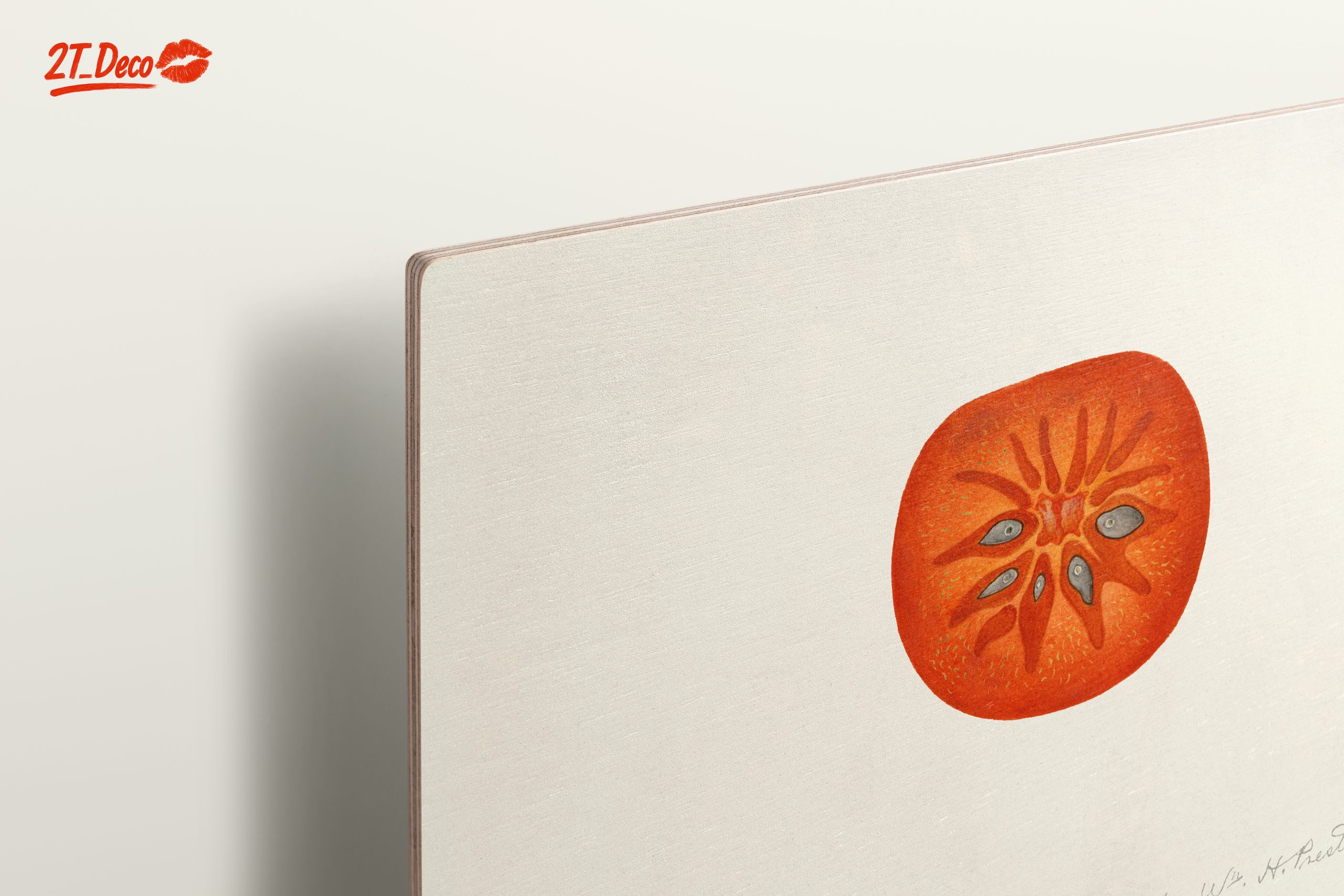 Abstract Artwork of a Tomato Slice - Image 15