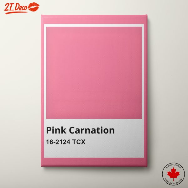 Vibrant Pink Carnation Art