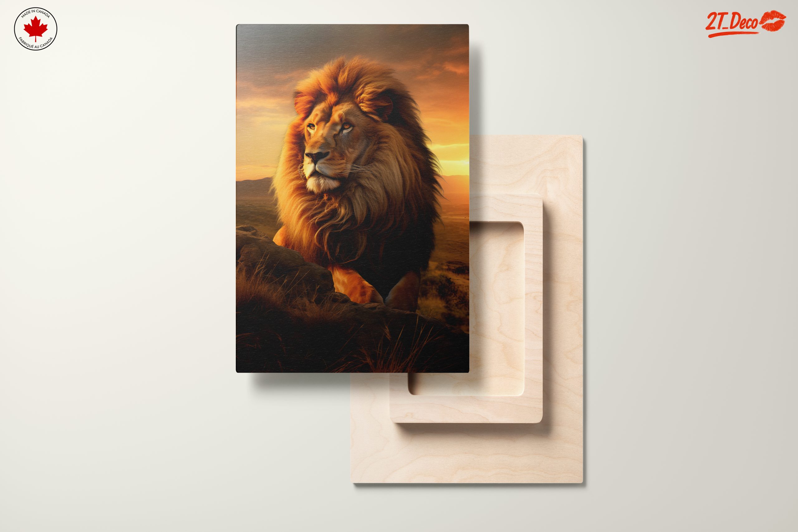 Majestic Lion Portrait at Sunset 2 - Image 11