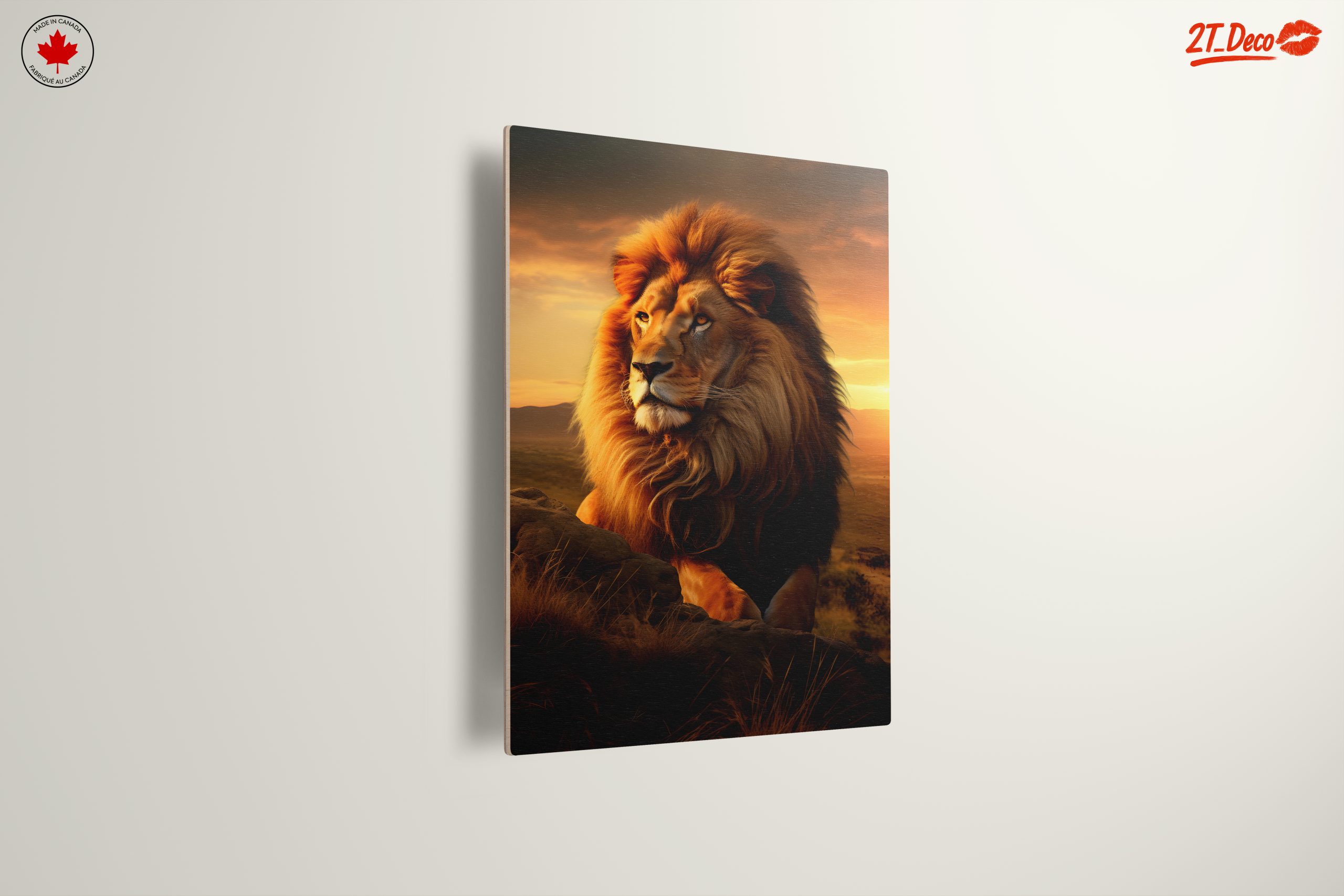 Majestic Lion Portrait at Sunset 2 - Image 13