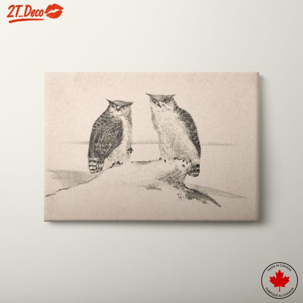 Elegant Owl Illustration Perfect for Nature Lovers