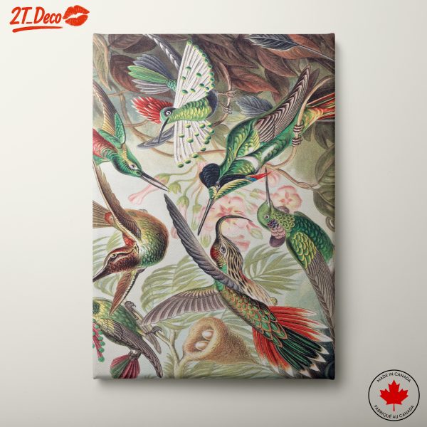 Colorful Whimsical Hummingbirds in Nature
