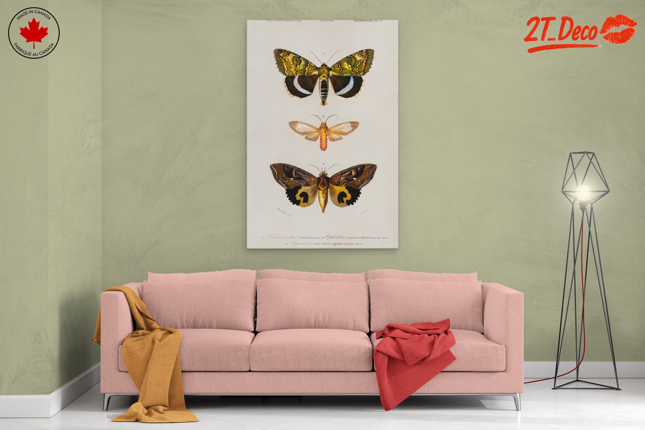 Detailed Insect Illustrations of Moths - Image 2