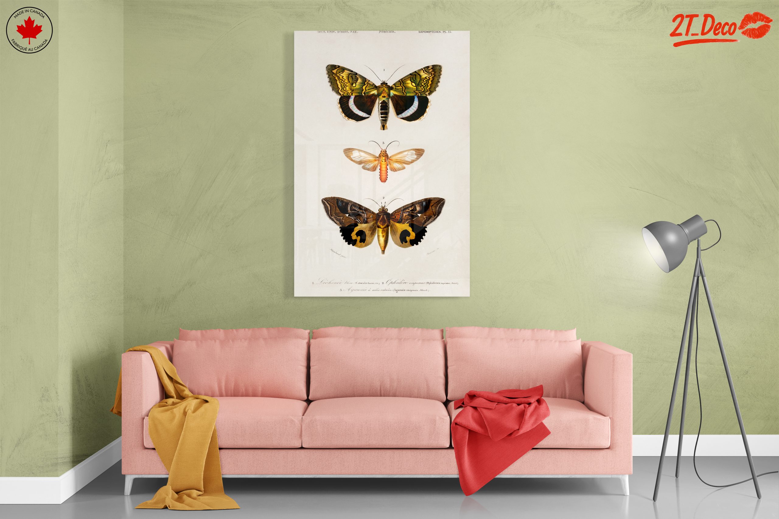 Detailed Insect Illustrations of Moths - Image 7