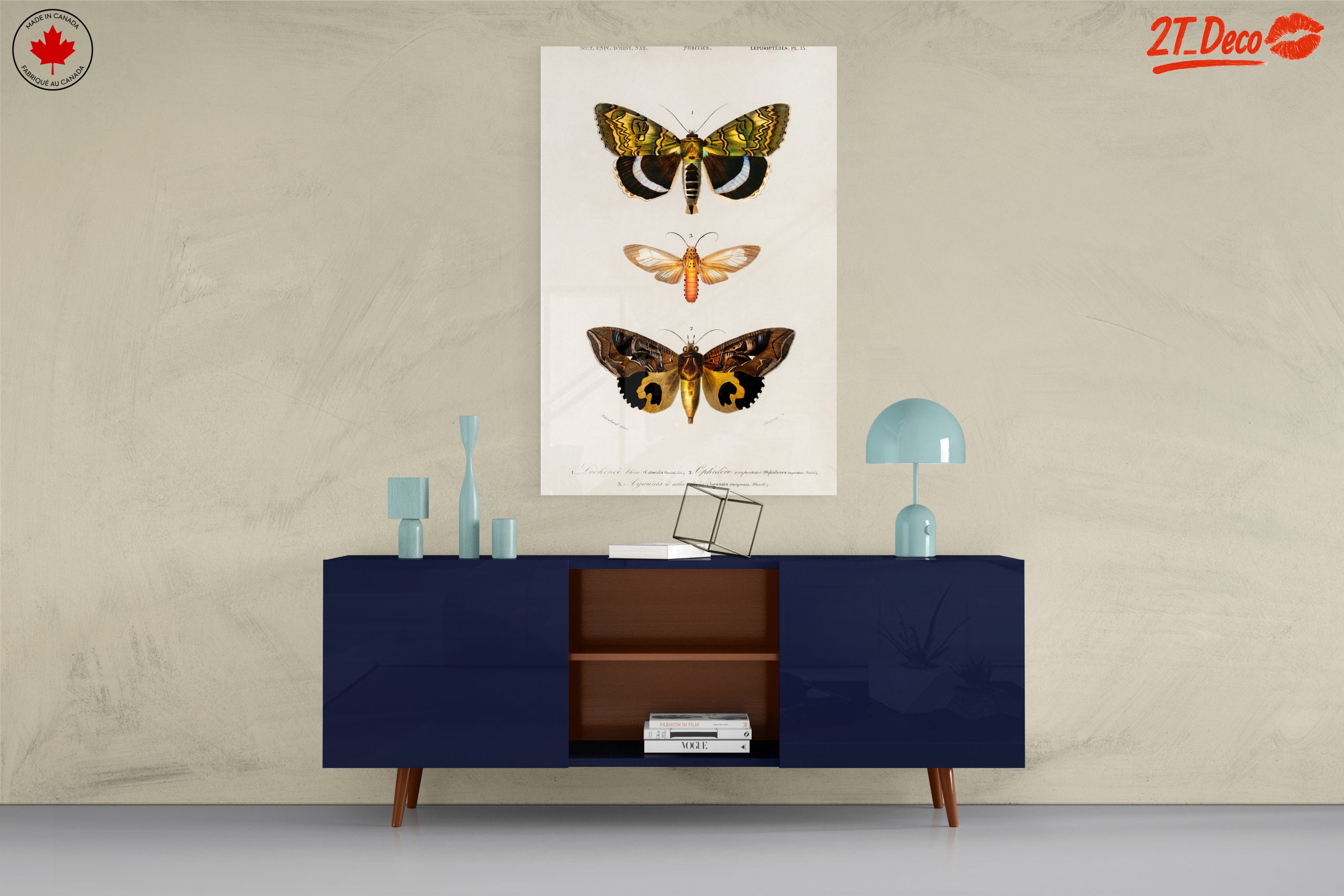 Detailed Insect Illustrations of Moths - Image 8