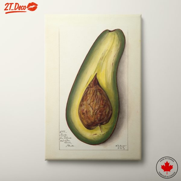 Stylized Avocado Artwork for Modern Kitchens