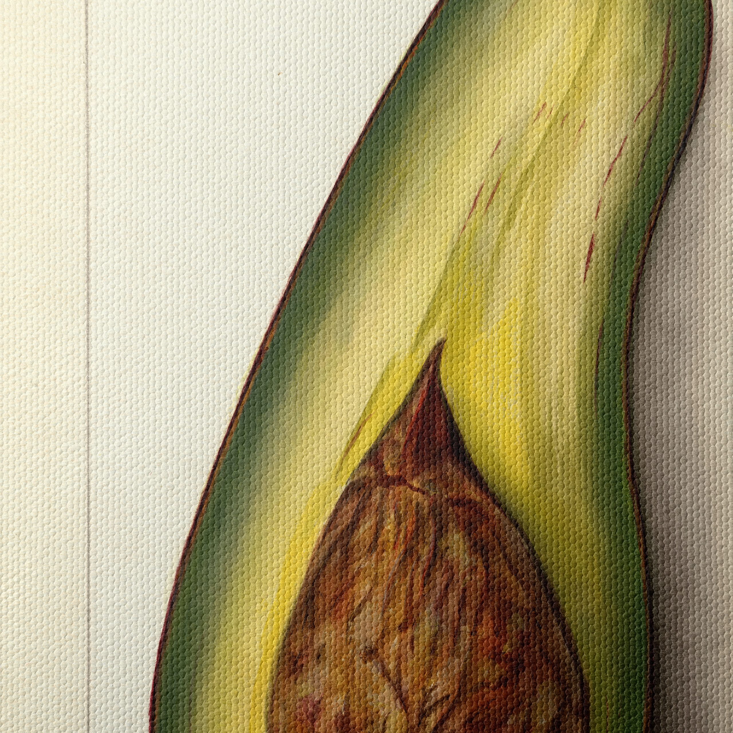Stylized Avocado Artwork for Modern Kitchens - Image 4
