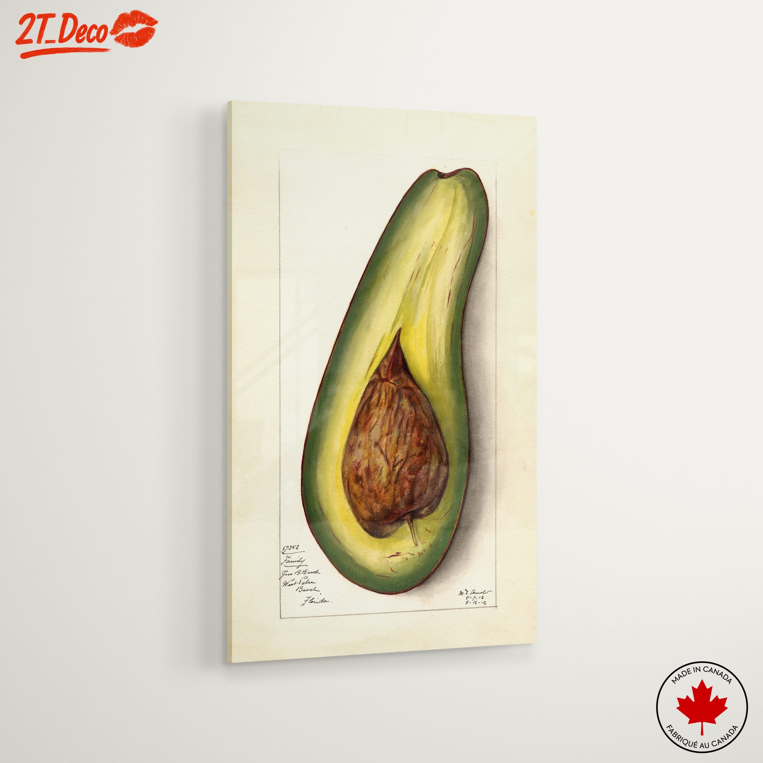 Stylized Avocado Artwork for Modern Kitchens - Image 6