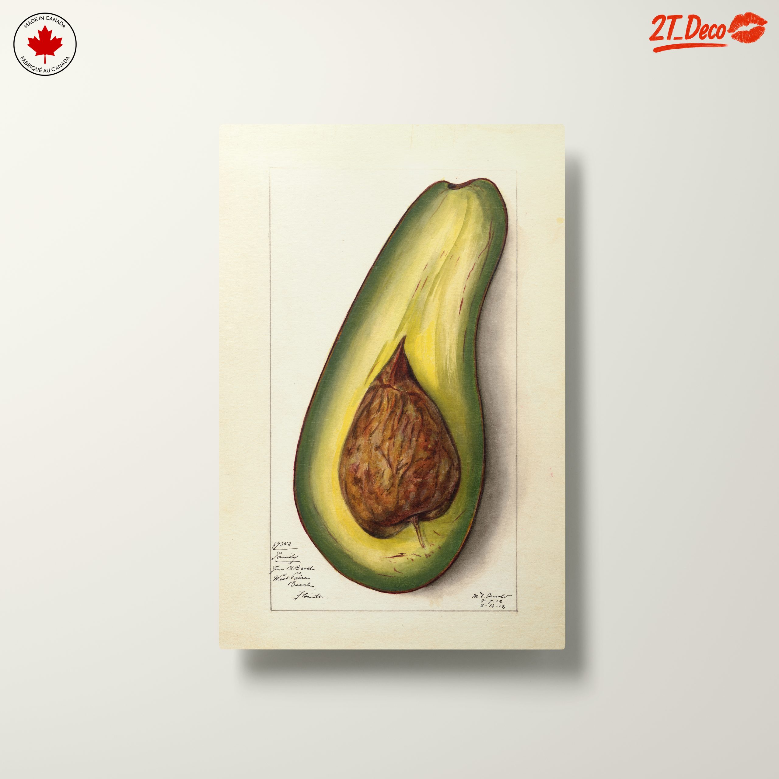 Stylized Avocado Artwork for Modern Kitchens - Image 10