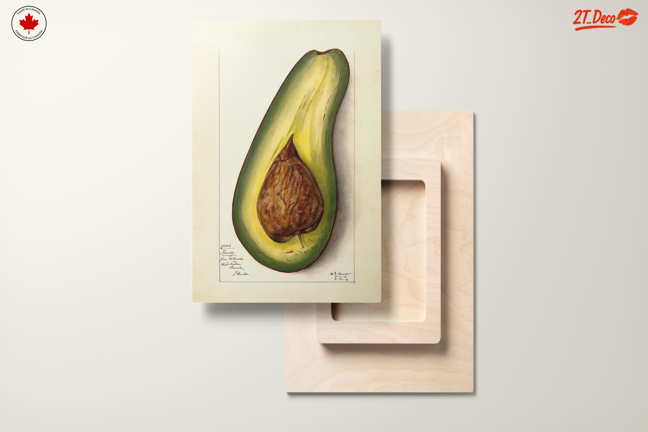 Stylized Avocado Artwork for Modern Kitchens - Image 11