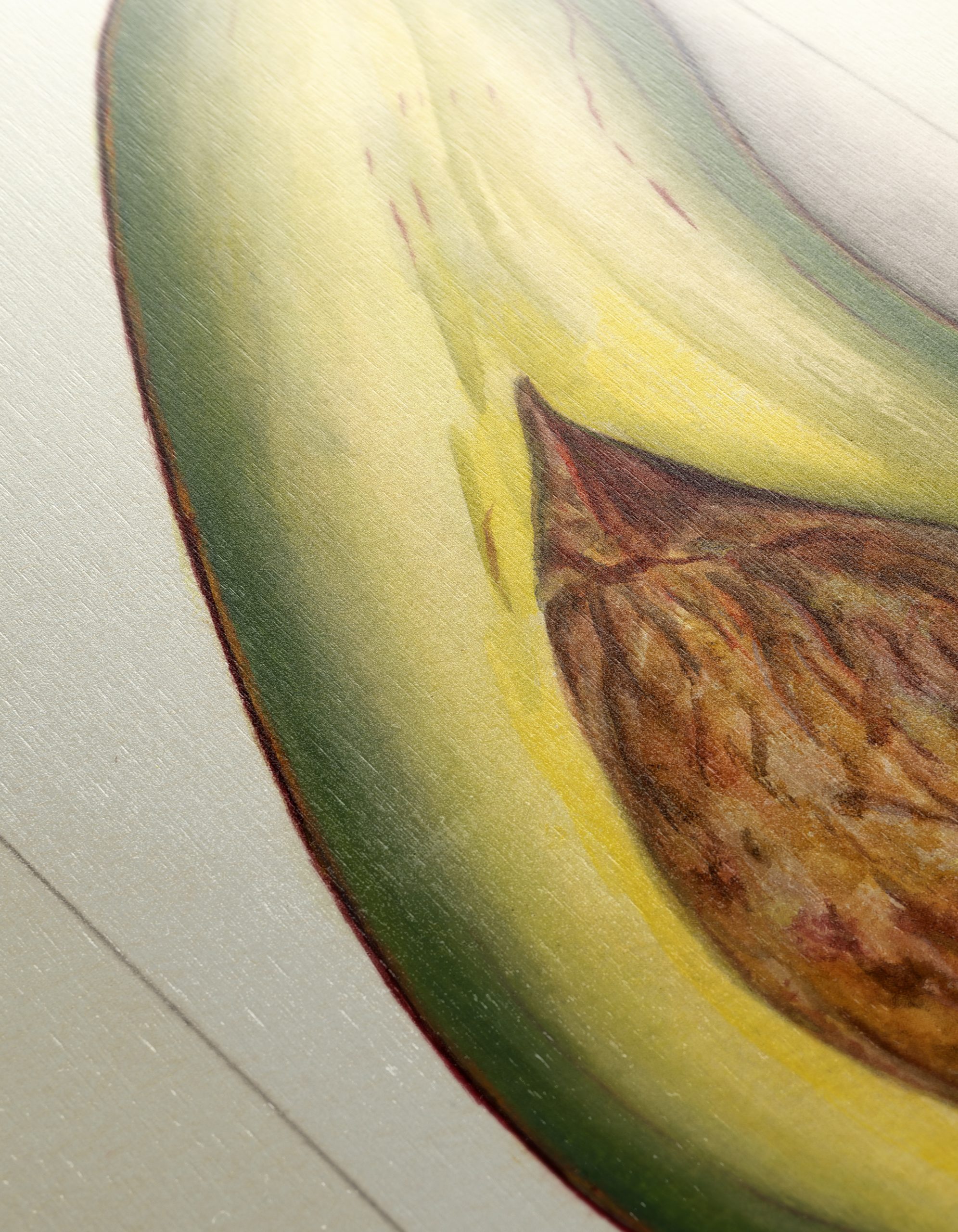 Stylized Avocado Artwork for Modern Kitchens - Image 12