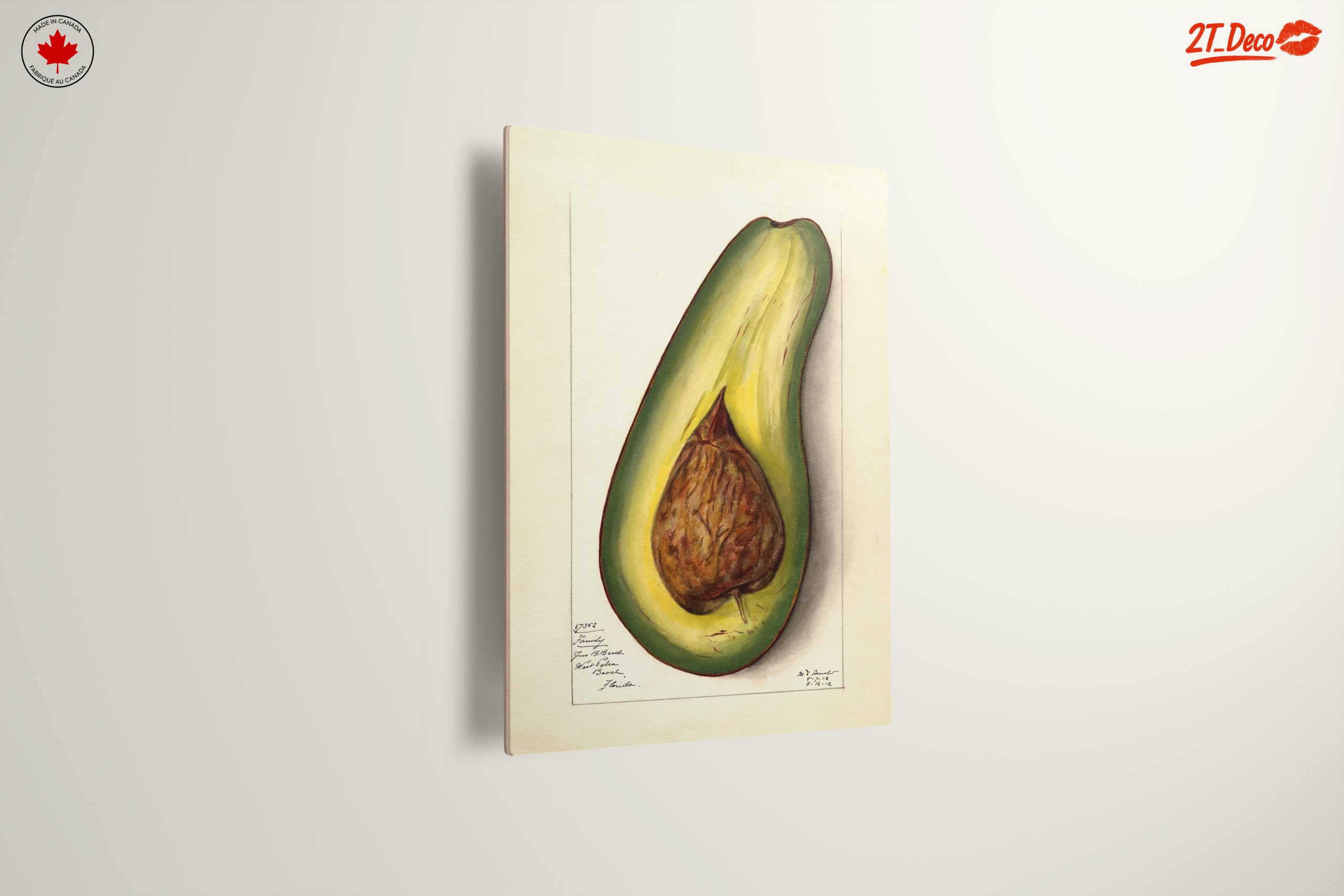 Stylized Avocado Artwork for Modern Kitchens - Image 13