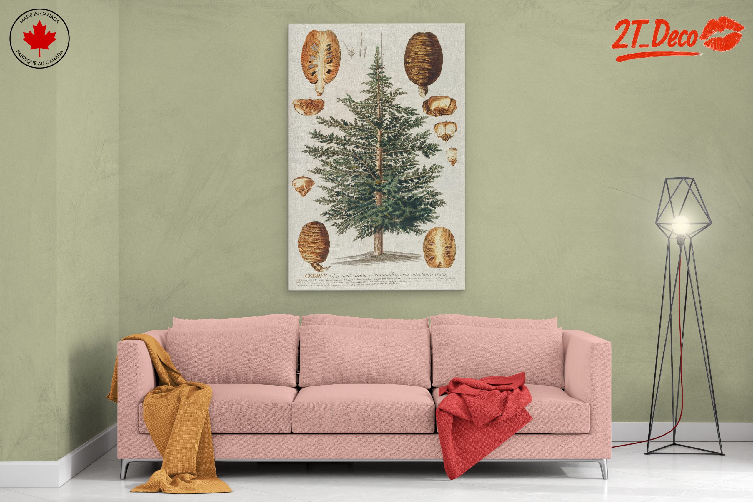Detailed Botanical Illustration of a Cedar Tree - Image 2