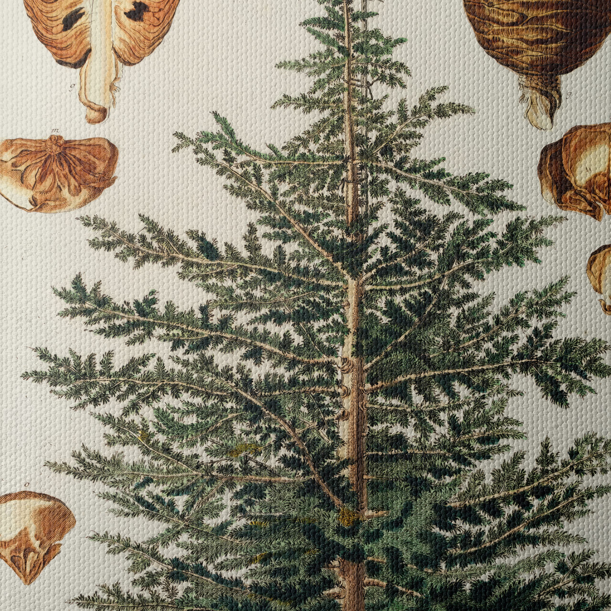 Detailed Botanical Illustration of a Cedar Tree - Image 4