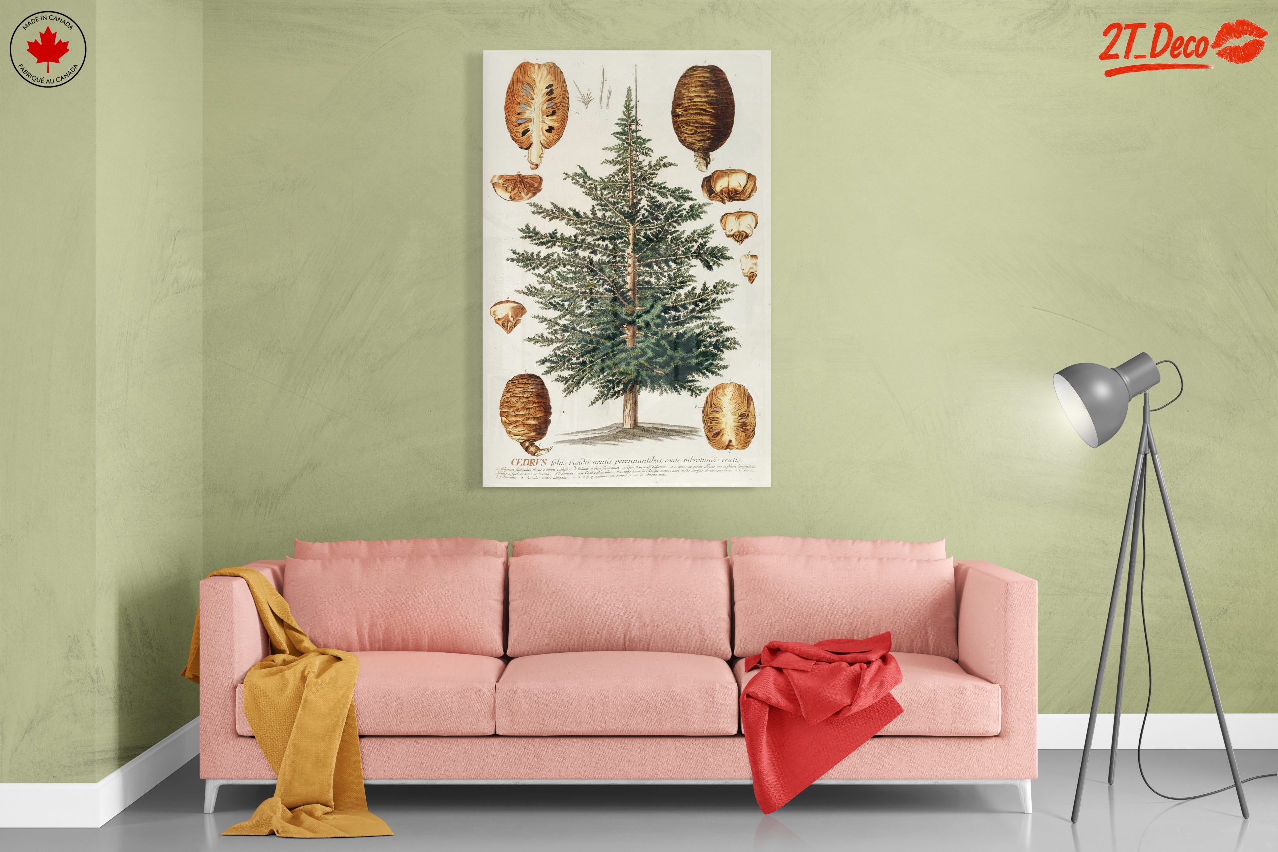 Detailed Botanical Illustration of a Cedar Tree - Image 7