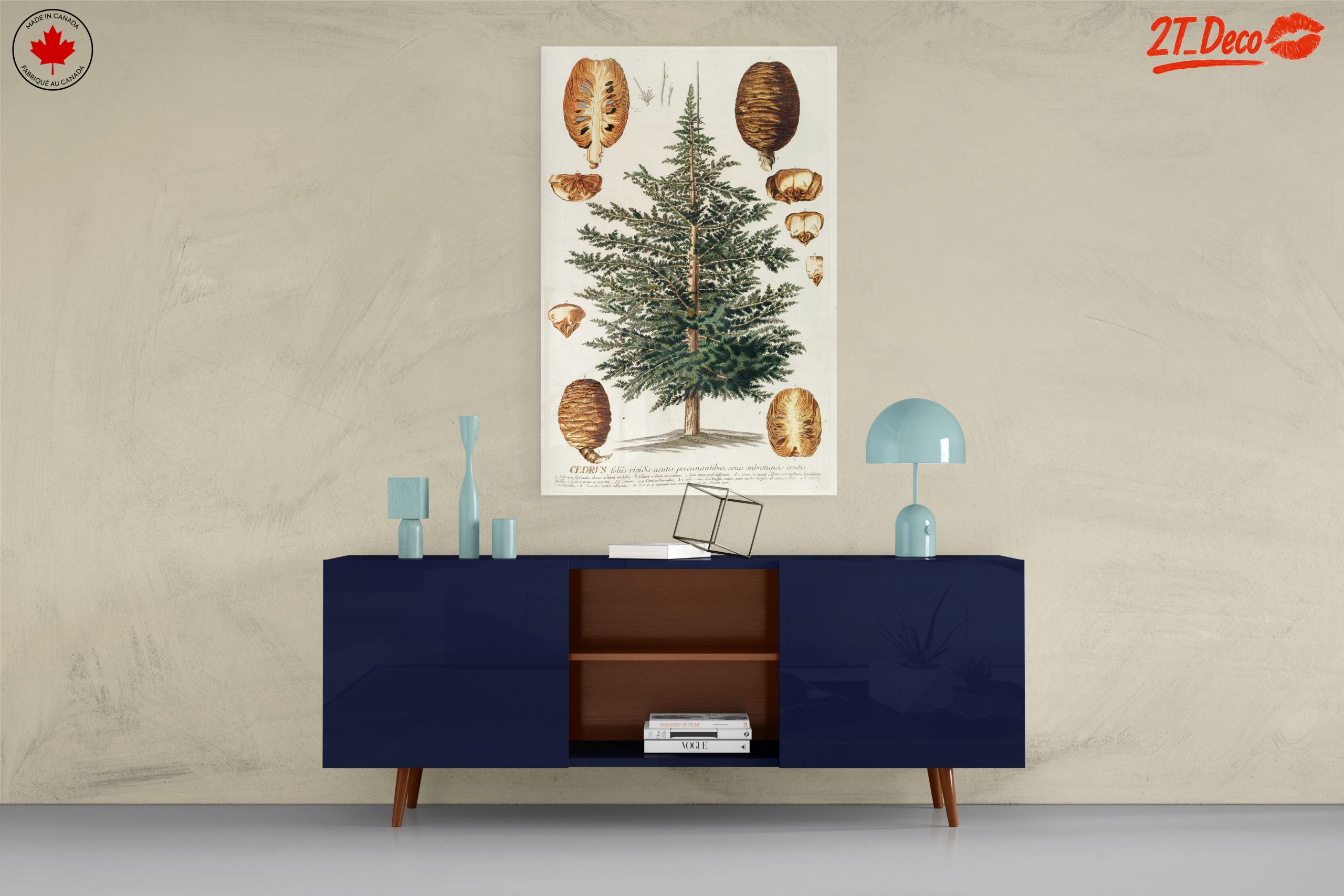 Detailed Botanical Illustration of a Cedar Tree - Image 8