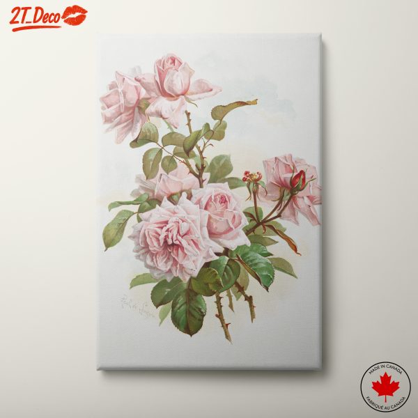 Pink Roses Botanical Art