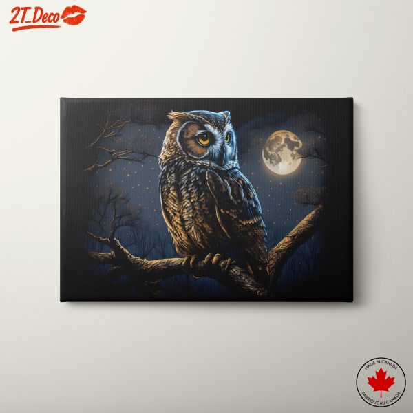 Majestic Owl Under Moonlight 4