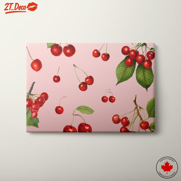 Cherry Botanical Illustrations on Pink Background