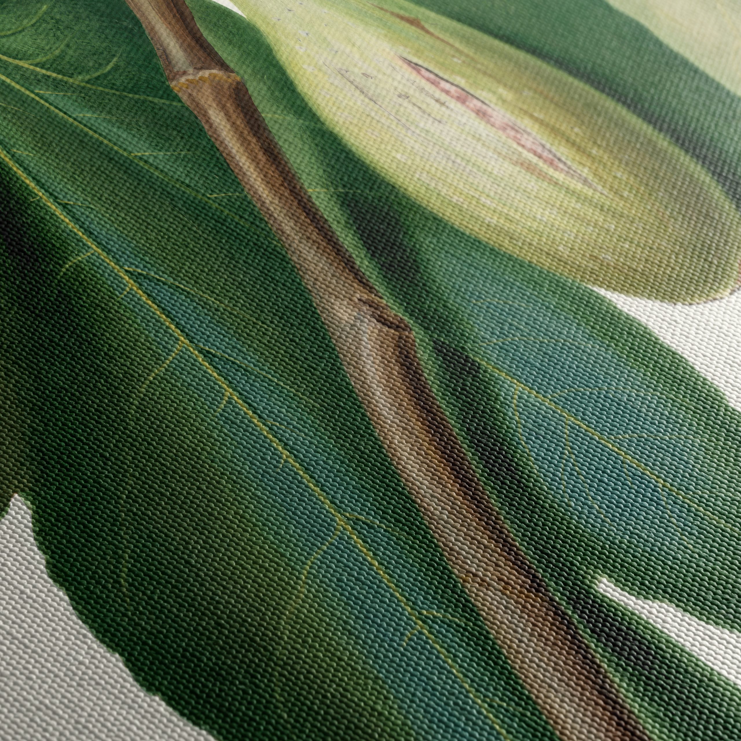 Fig Tree Botanical Artwork - Image 5