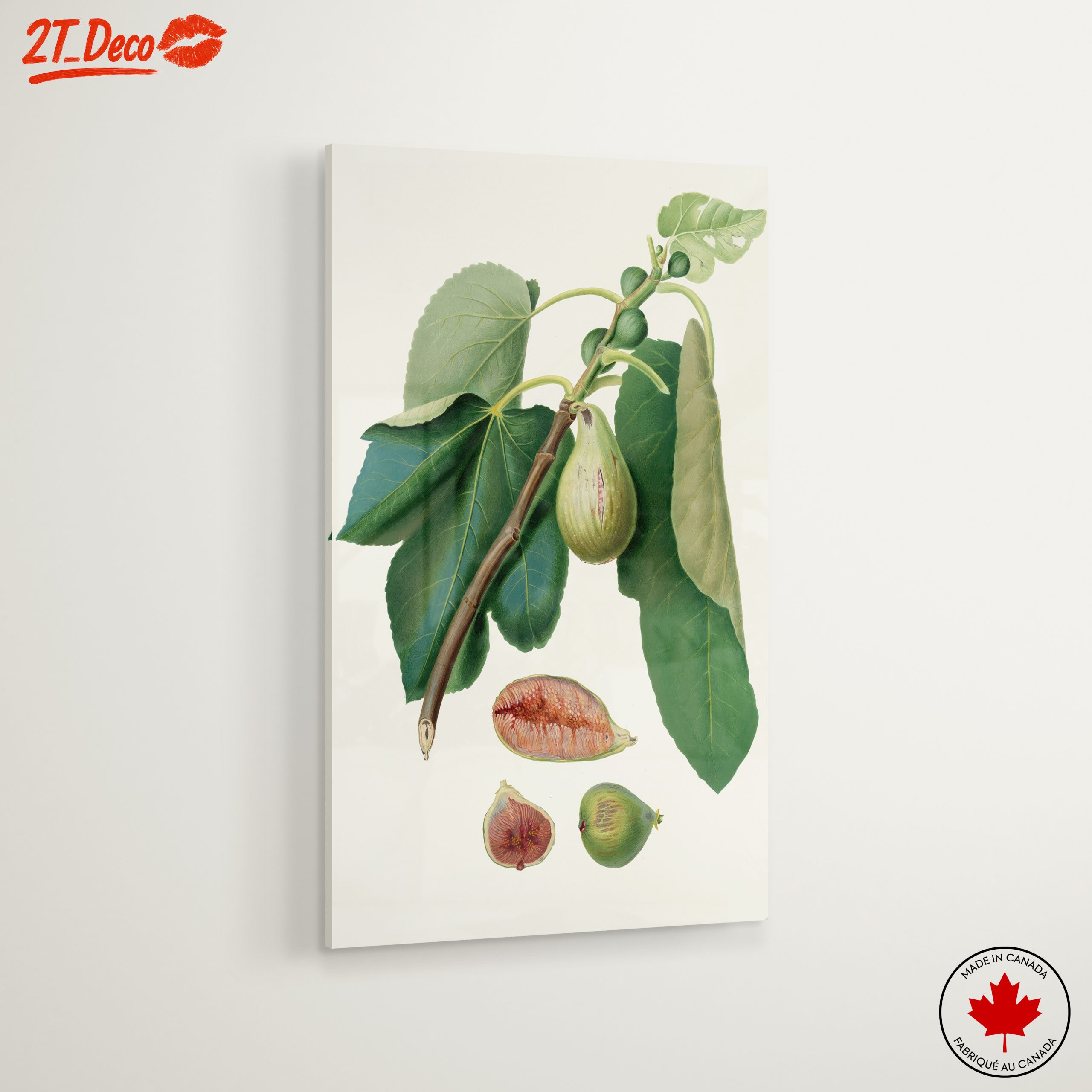 Fig Tree Botanical Artwork - Image 6