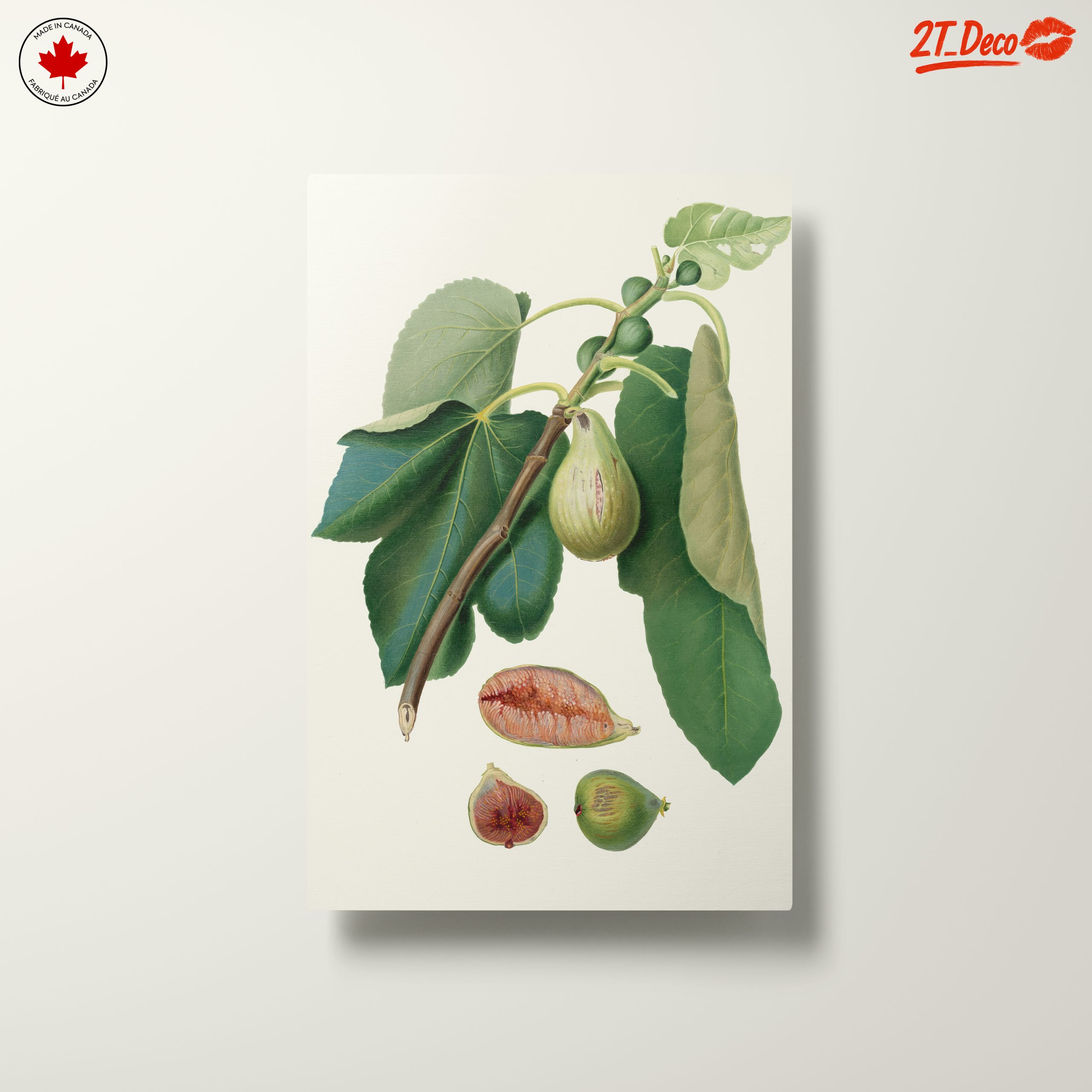 Fig Tree Botanical Artwork - Image 10