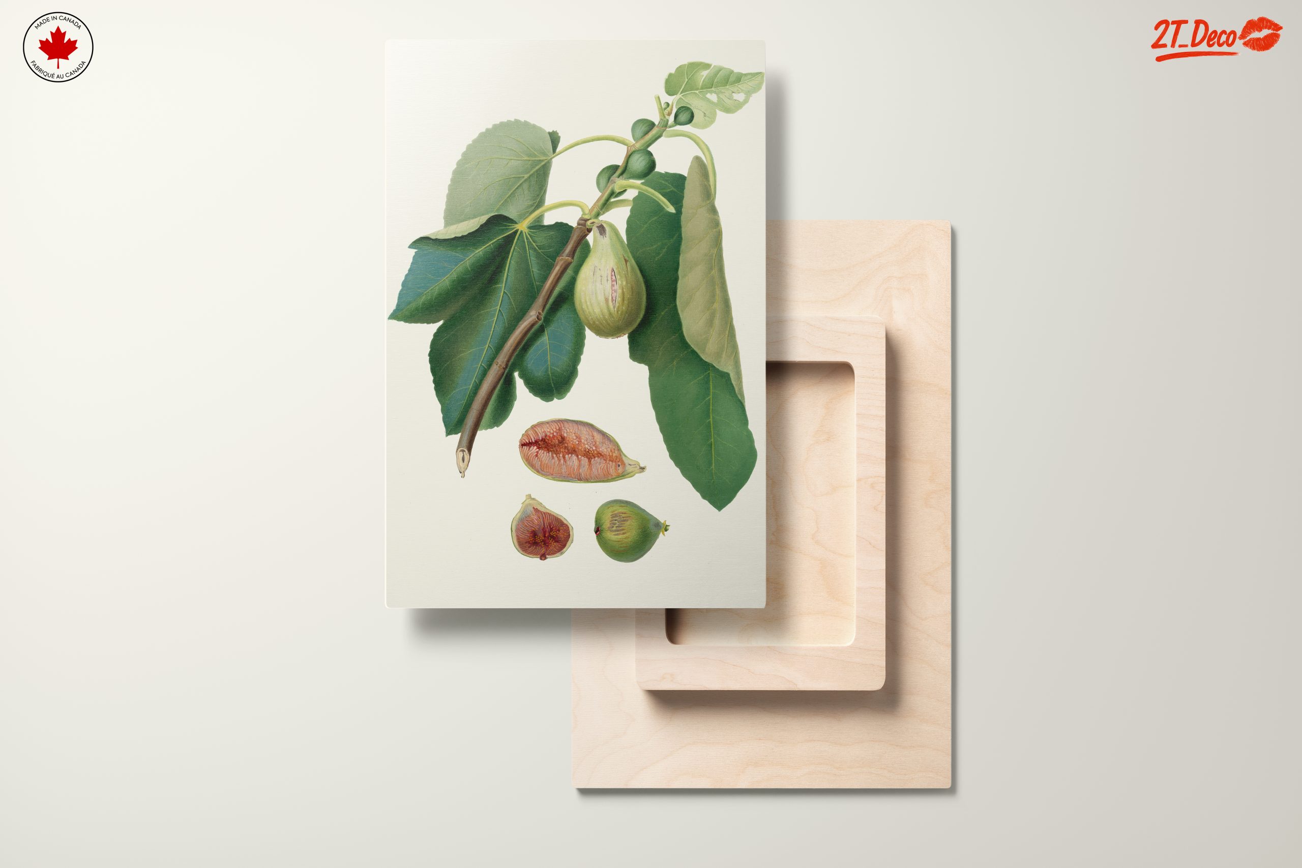 Fig Tree Botanical Artwork - Image 11