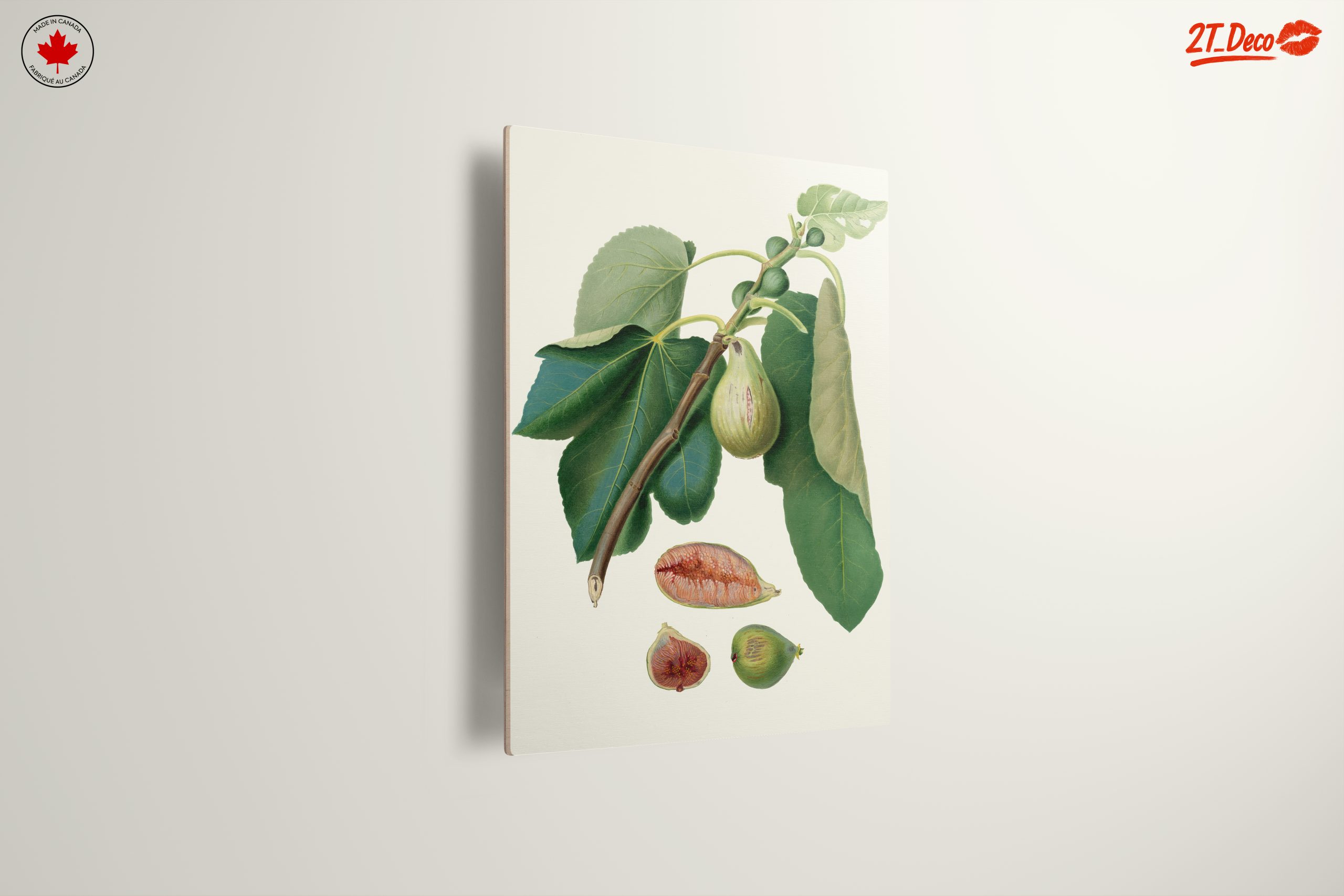 Fig Tree Botanical Artwork - Image 13