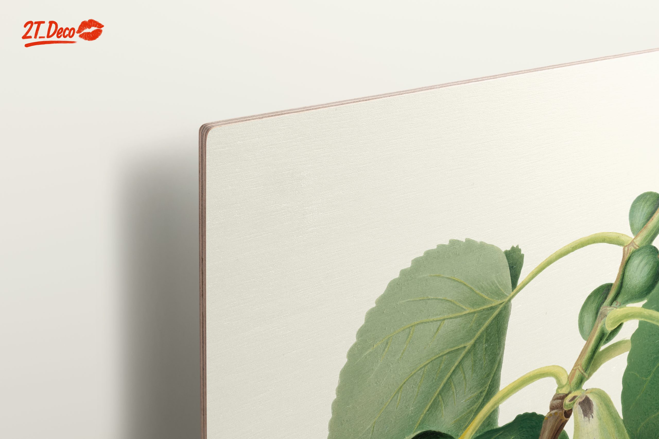 Fig Tree Botanical Artwork - Image 15
