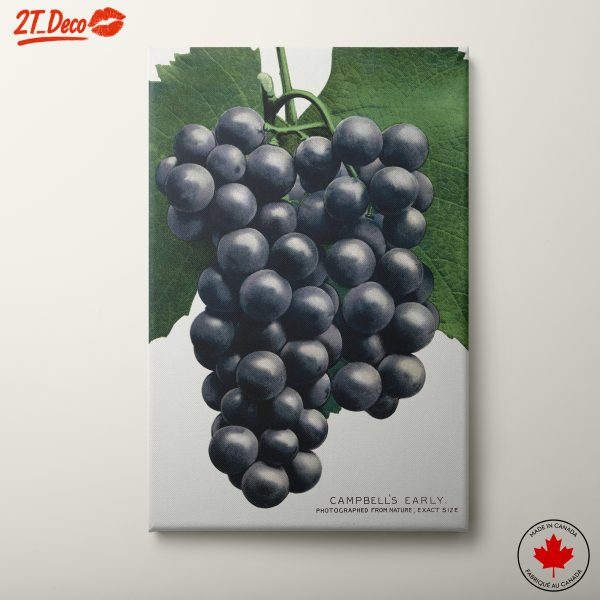Abstract Representation of Grapes