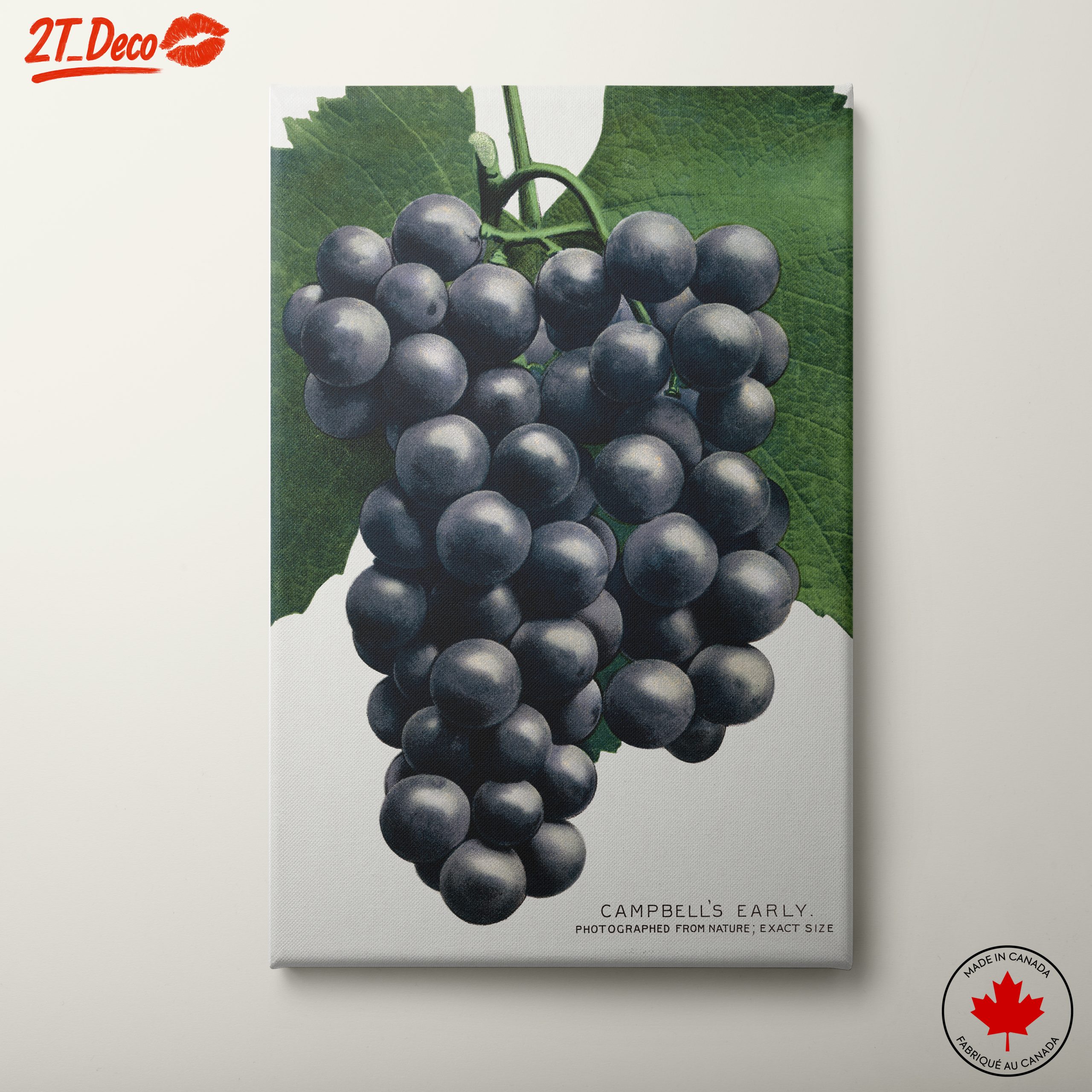 Abstract Representation of Grapes