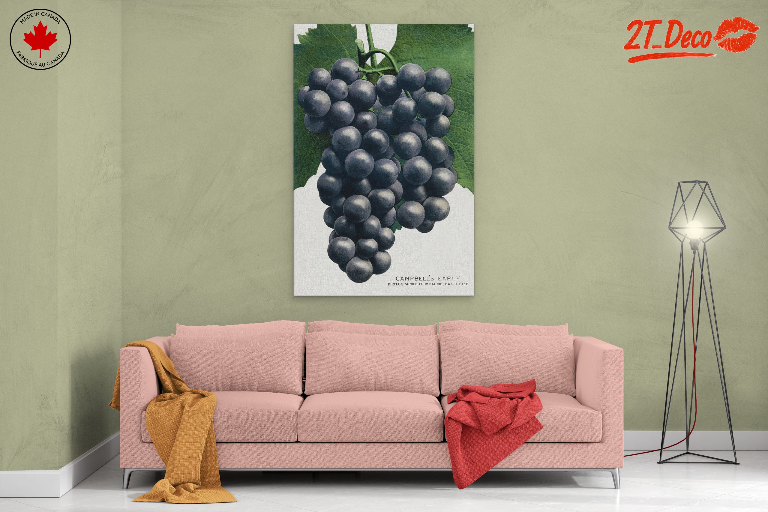 Abstract Representation of Grapes - Image 2