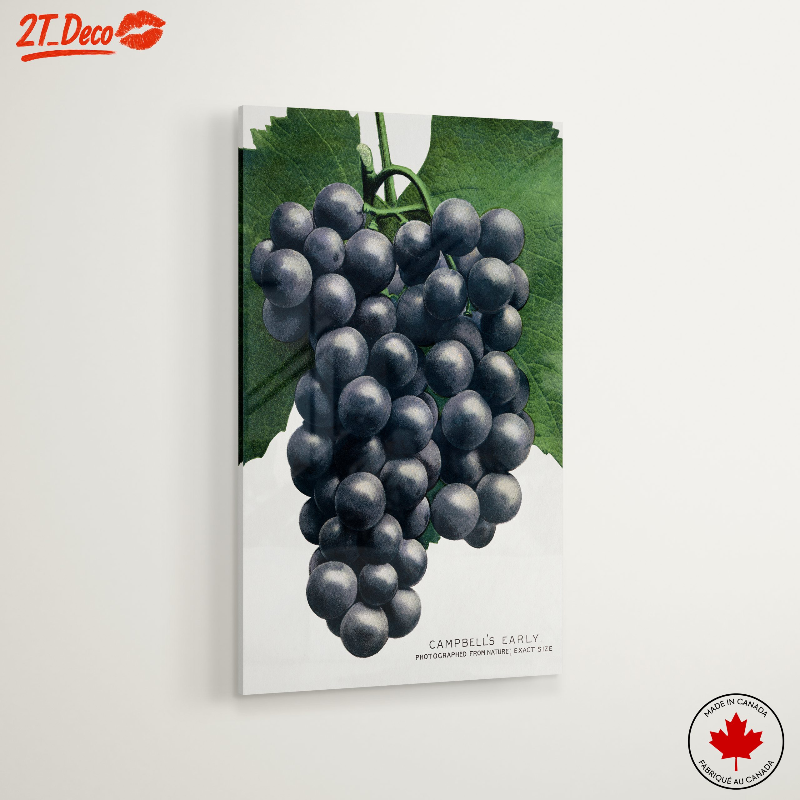 Abstract Representation of Grapes - Image 6