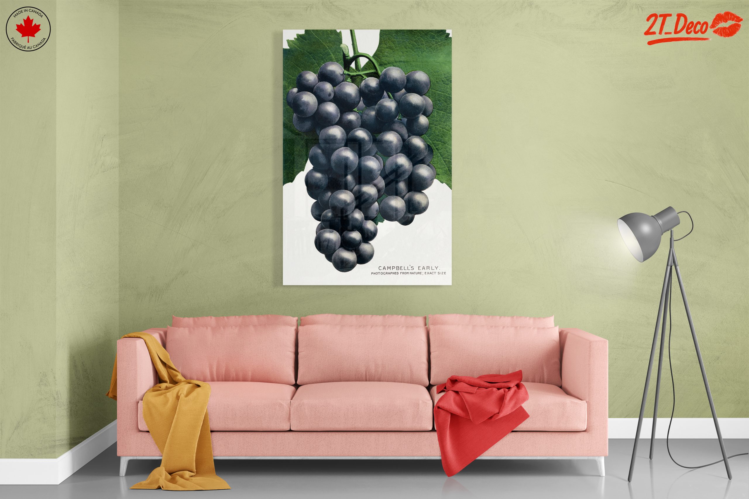 Abstract Representation of Grapes - Image 7