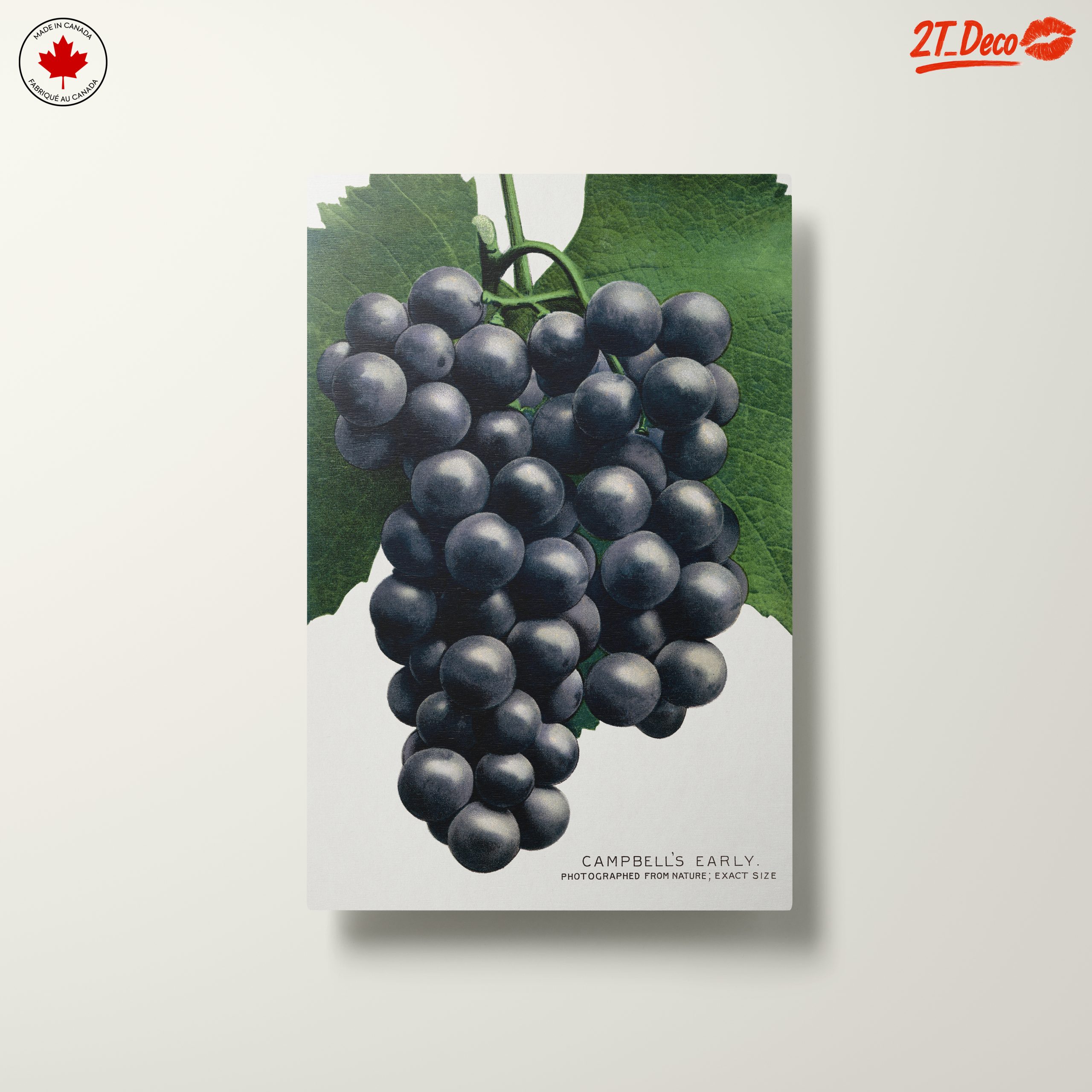 Abstract Representation of Grapes - Image 10