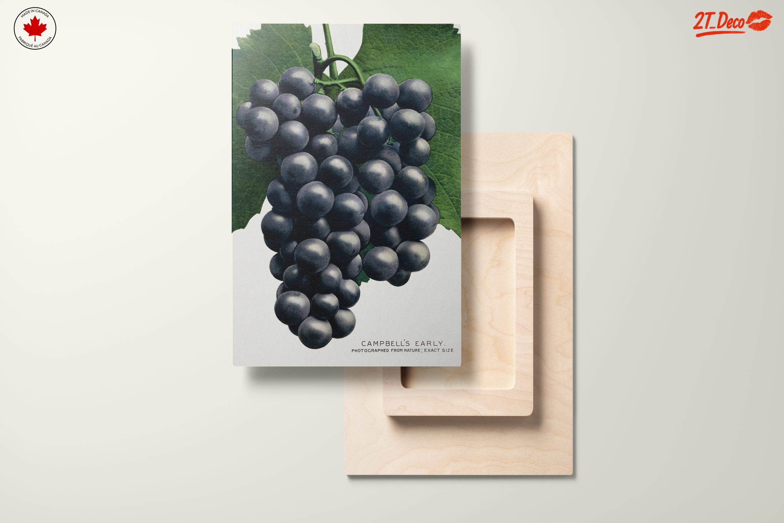 Abstract Representation of Grapes - Image 11
