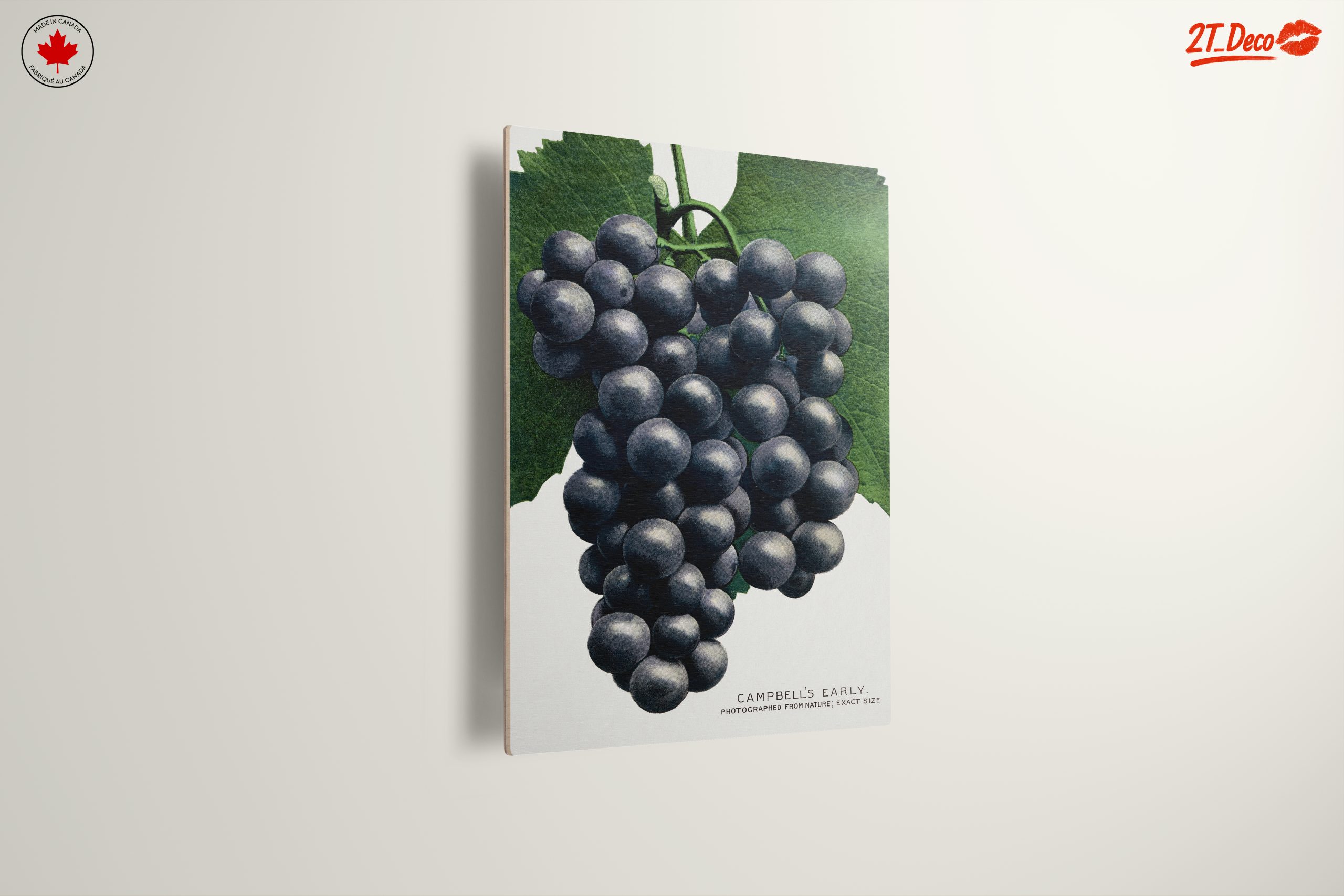 Abstract Representation of Grapes - Image 13