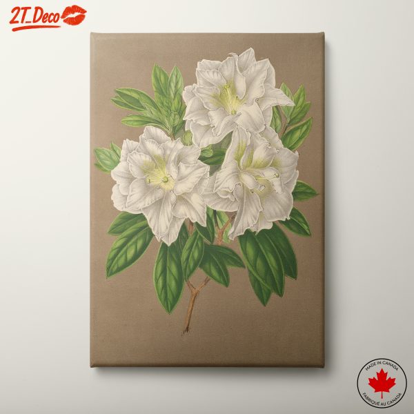 Elegant White Floral Artwork