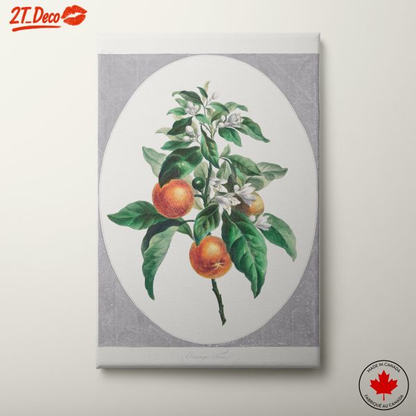 Botanical Art of Orange Tree with Blossoms
