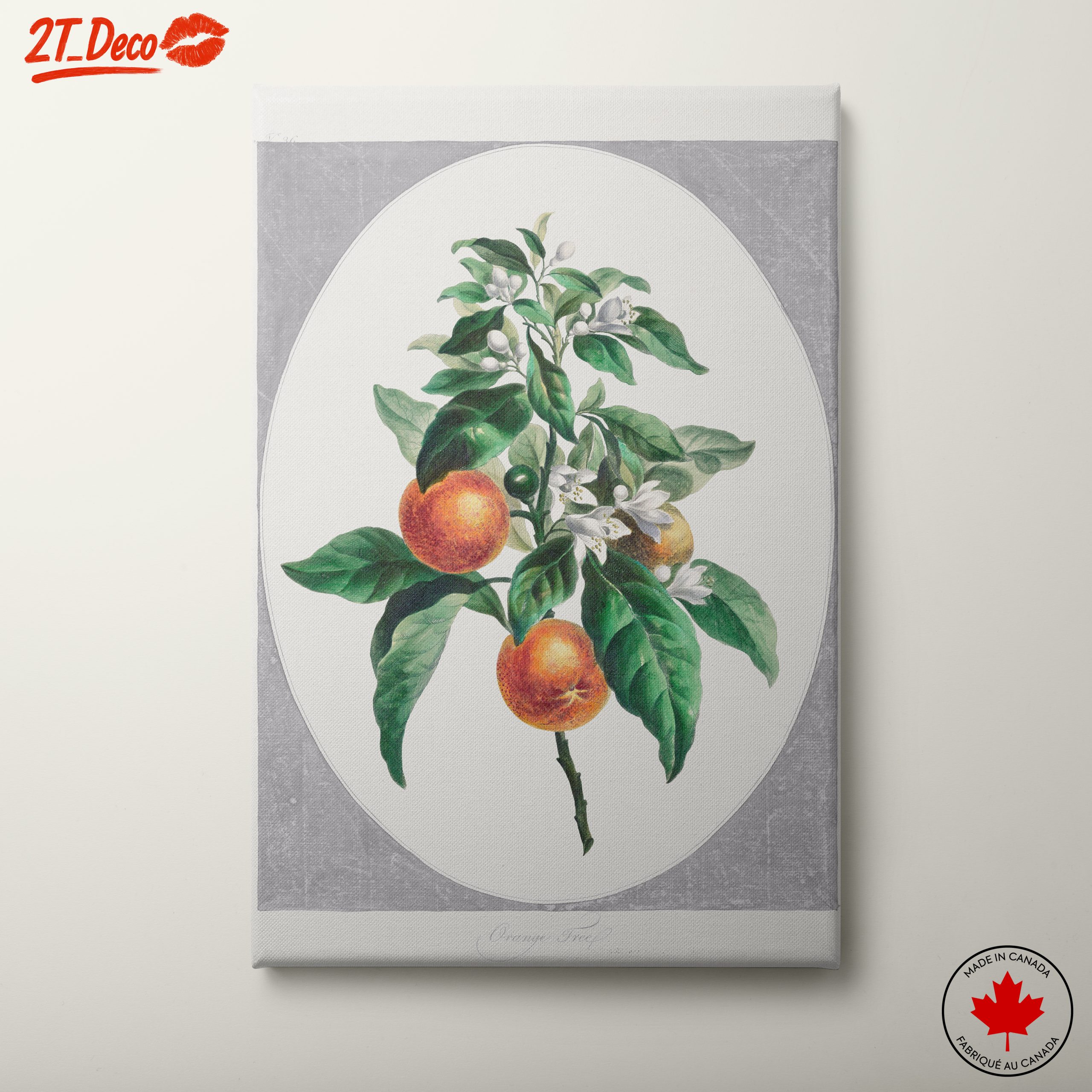 Botanical Art of Orange Tree with Blossoms